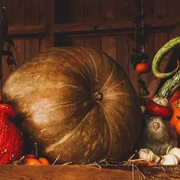 Repas d'automne  par Saint-Quentin Loisirs