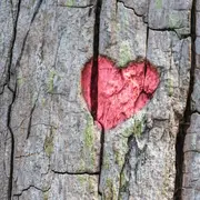 Repas de la Saint-Valentin à l'Évidence