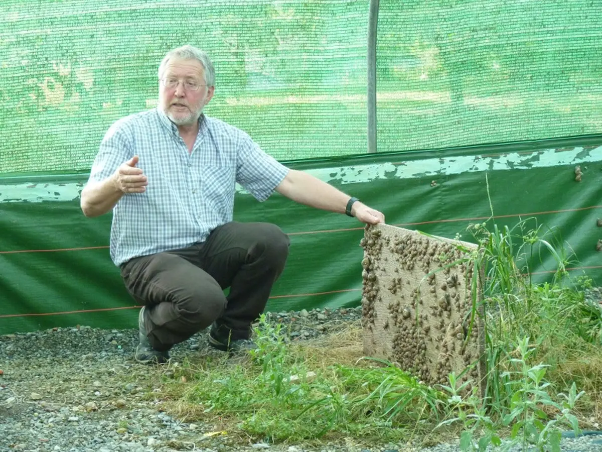 Repas fermier, à la ferme aux escargots