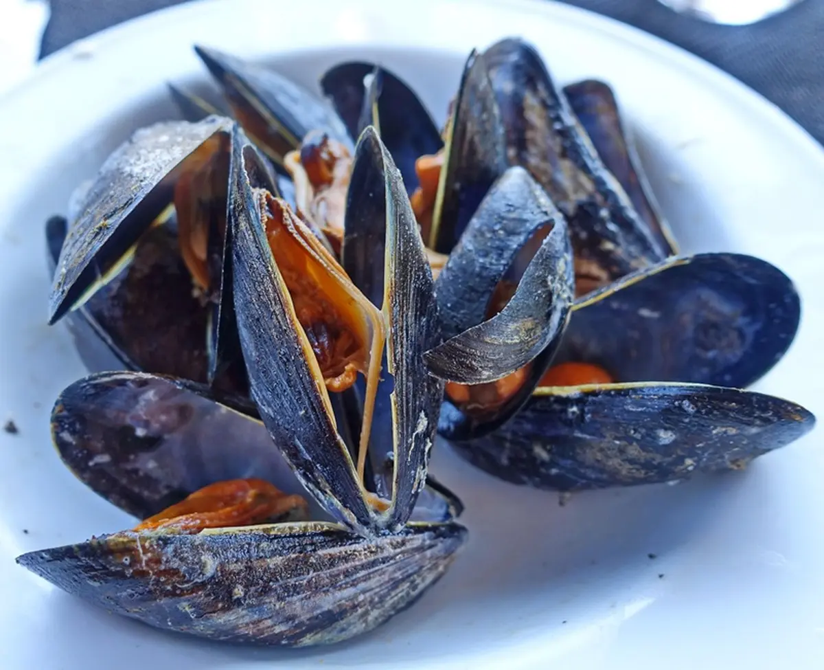Repas moules-friles à Allas-Les-Mines