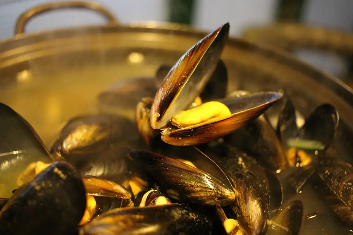 Repas Moules frites