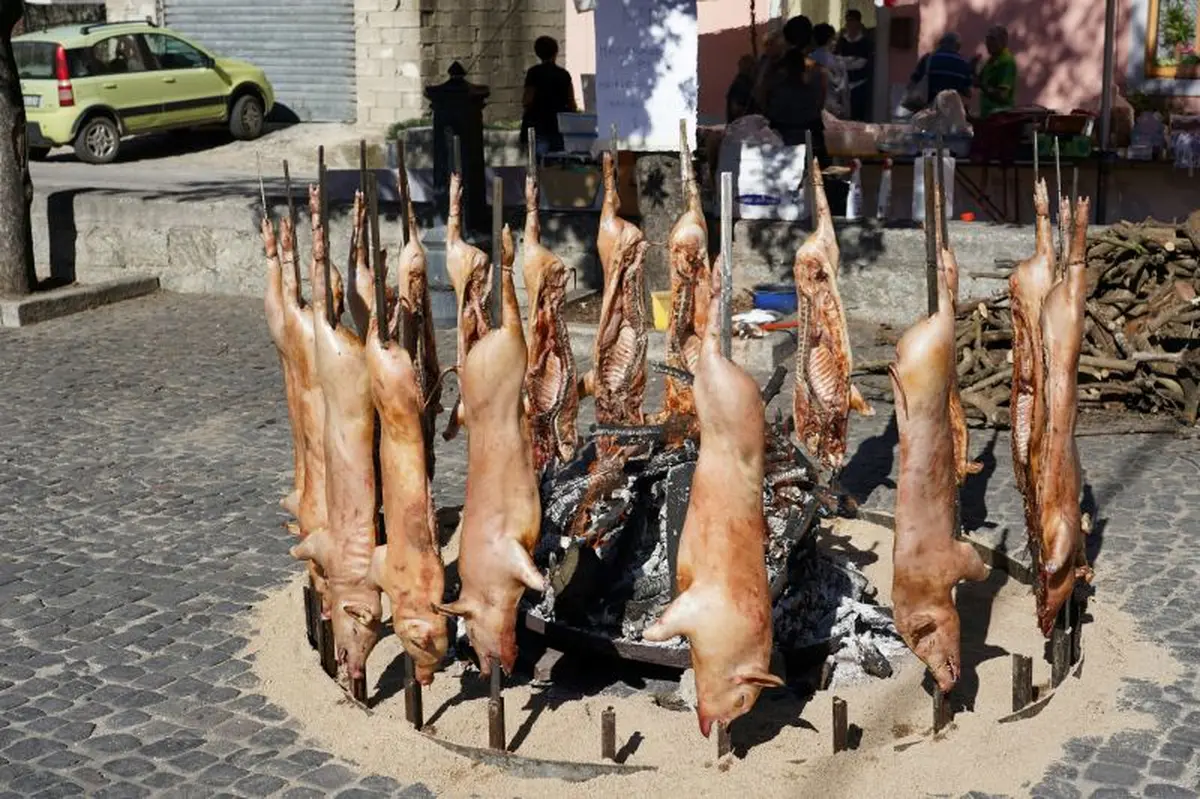 Repas - Sanglier Périgourdin à Plazac