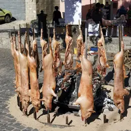 Repas - Sanglier Périgourdin à Plazac