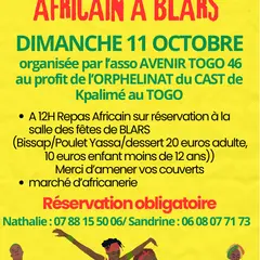 Repas solidaire pour les enfants du Togo, pour l'association Avenir Togo 46