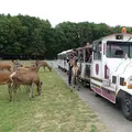 Réserve animalière de Beaumarchais