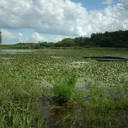 Réserve Naturelle de Chérine : les étangs de la Touche et Purais