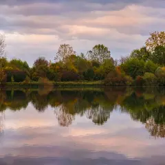 Réserve naturelle de l'île du Rohrschollen