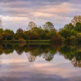 Réserve naturelle de l'île du Rohrschollen