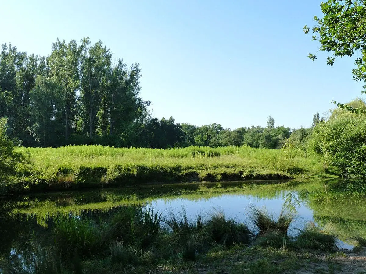 Réserve naturelle de la forêt de la Robertsau et de La Wantzenau