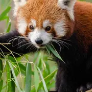 Réserve Zoologique de la Haute-Touche