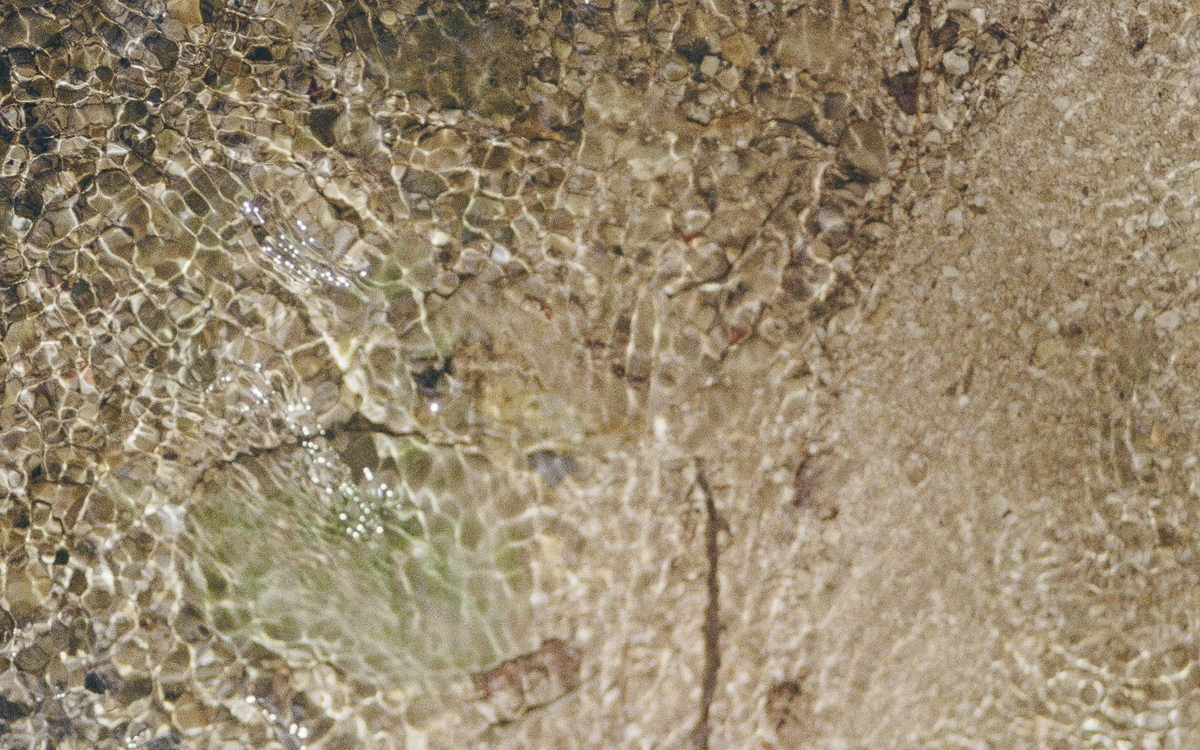 Résonance du Vivant - Visite Guidée