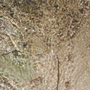 Résonance du Vivant - Visite Guidée