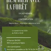 Respirer avec la forêt