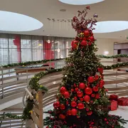 Restaurant Atmosph'R / Hôtel Renaissance Aix-en-Provence - Réveillon de Noël