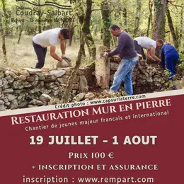 Restauration d'un mur en pierre au Château du Coudray-Salbart à Échiré