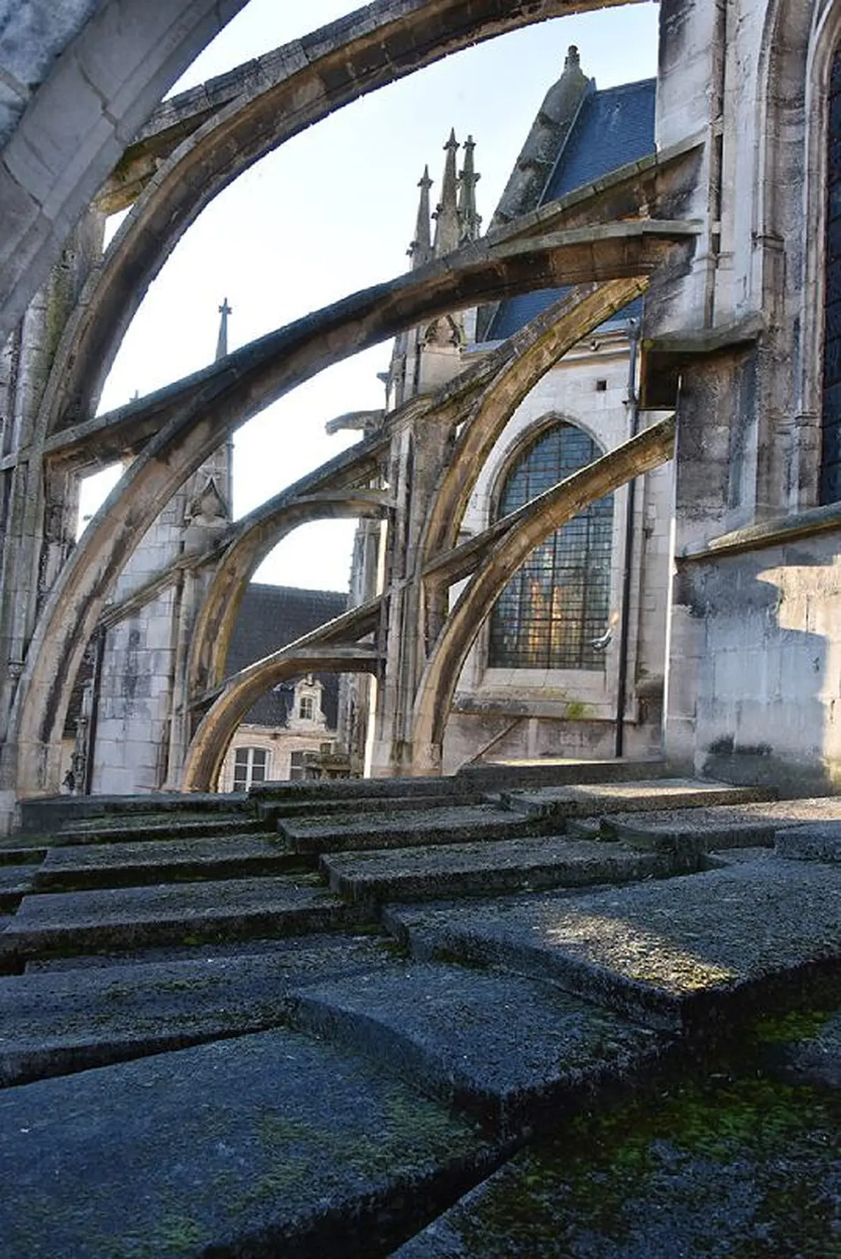 Restauration de la basilique : le chantier du siècle