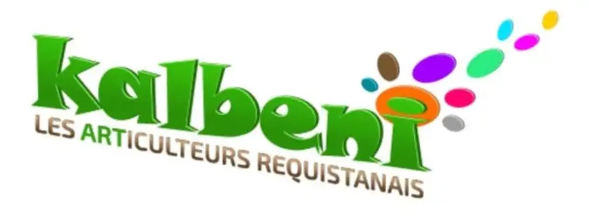 Restitution du projet avec Anaïs Girard