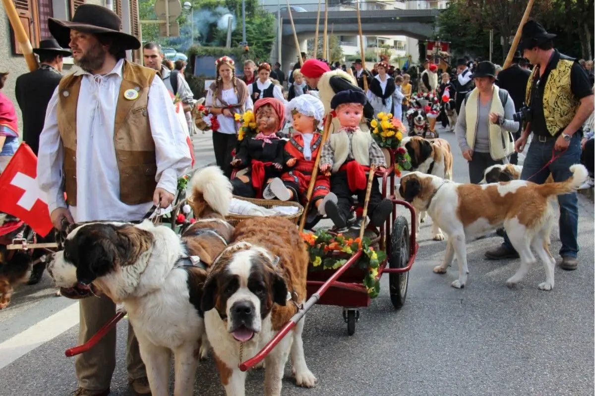 C'est un incroyable cortège qui défile dans les rues d'Annecy