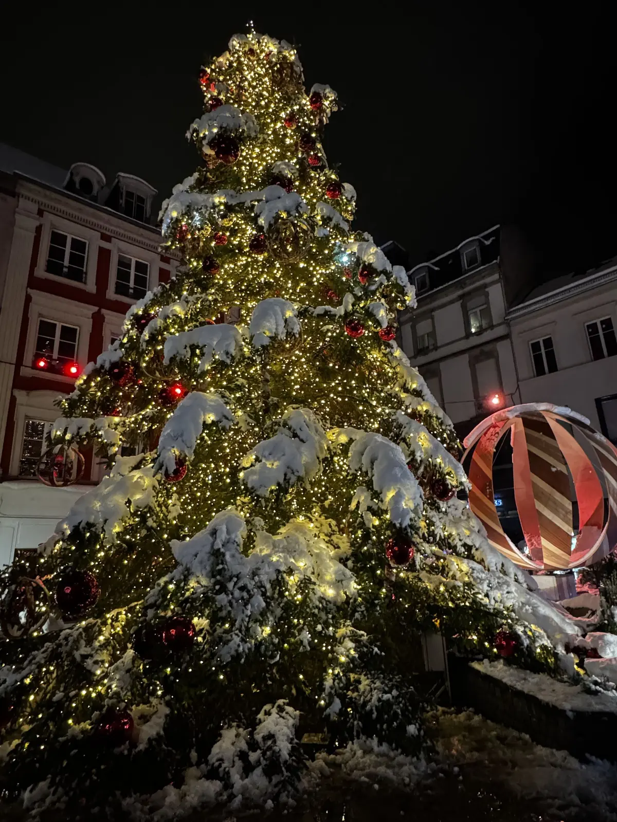 Le Grand Sapin du Marché de Noël de Mulhouse 2024