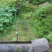 Le tour des lacs vosgiens