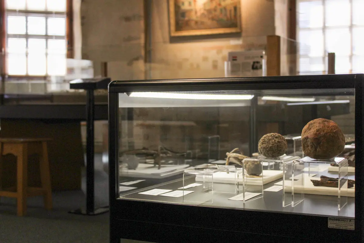 Retour vers le passé, les collections archéologiques