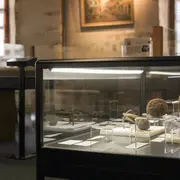 Retour vers le passé, les collections archéologiques