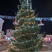 Retraîte aux flambeaux et aux lampions