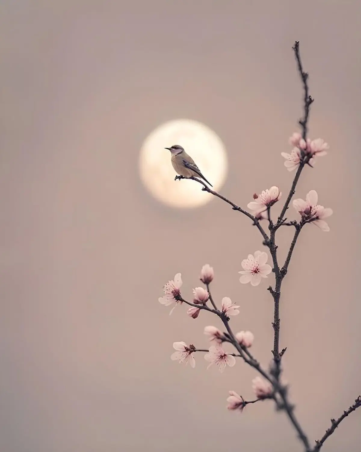 Retraite découverte du Zen