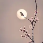 Retraite découverte du Zen