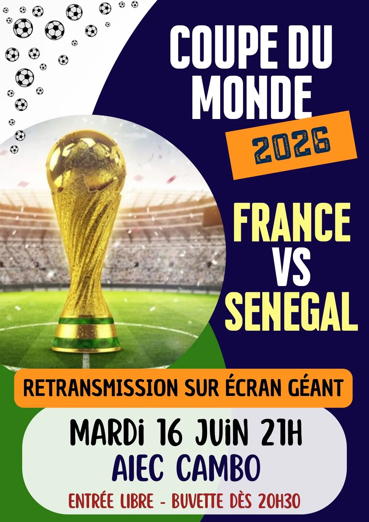 Retransmission coupe du monde France vs Senegal