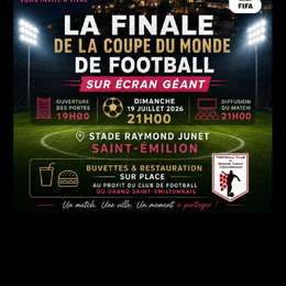 Retransmission de la finale de la coupe du monde de football