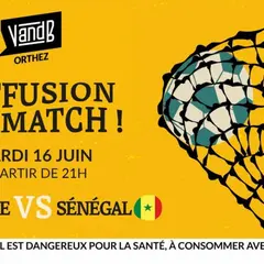 Retransmission match de football : Sénégal vs France