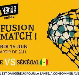 Retransmission match de football : Sénégal vs France