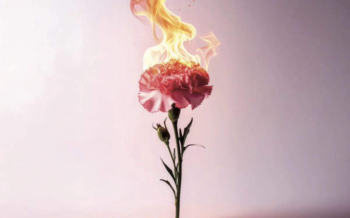 Retrouvaille du mythique couple du Misanthrope au Lucernaire