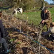 Réunion d'information - plantation de haies