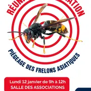 Réunion d'information sur le piégeage des frelons asiatiques