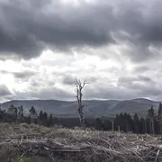 Réunion Publique : E-Cho, Le Projet Industriel Qui Menace La Forêt Et Le Territoire Commingeois.