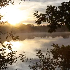 Réveil de la faune