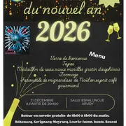 Réveillon du nouvel an