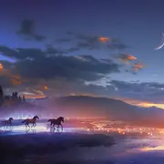 Rêver avec les chevaux