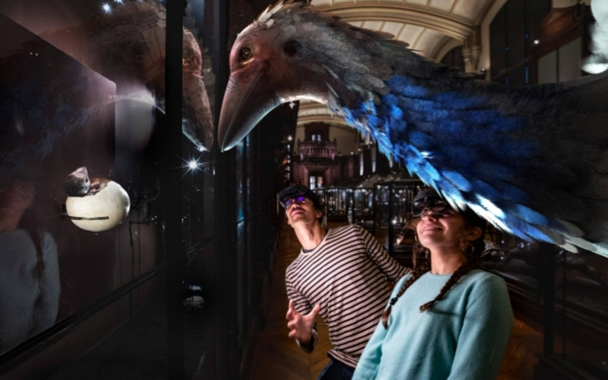 Revivre, les animaux disparus en réalité virtuelle - Aepyornis ou oiseau éléphant