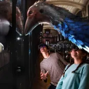 Revivre, les animaux disparus en réalité augmentée