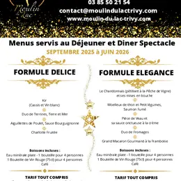 Revue cabaret en déjeuner ou dîner spectacle
