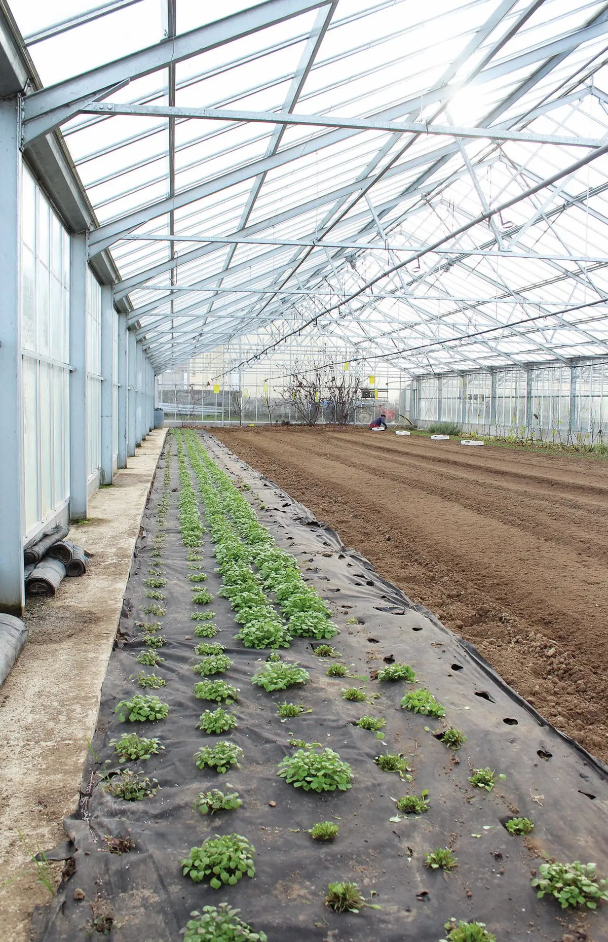 Rhénamap : visite de la ferme du Pfaffenbach, au coeur du Sundgau