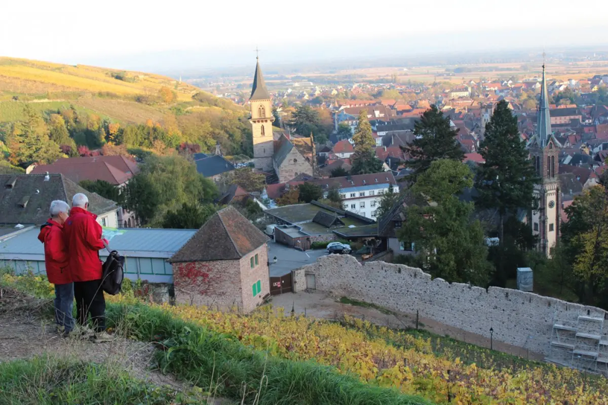 Vue sur Ribeauvillé