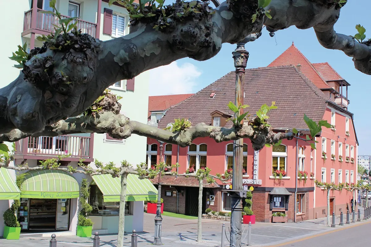 Laurent Kieny et la Poste Kieny
