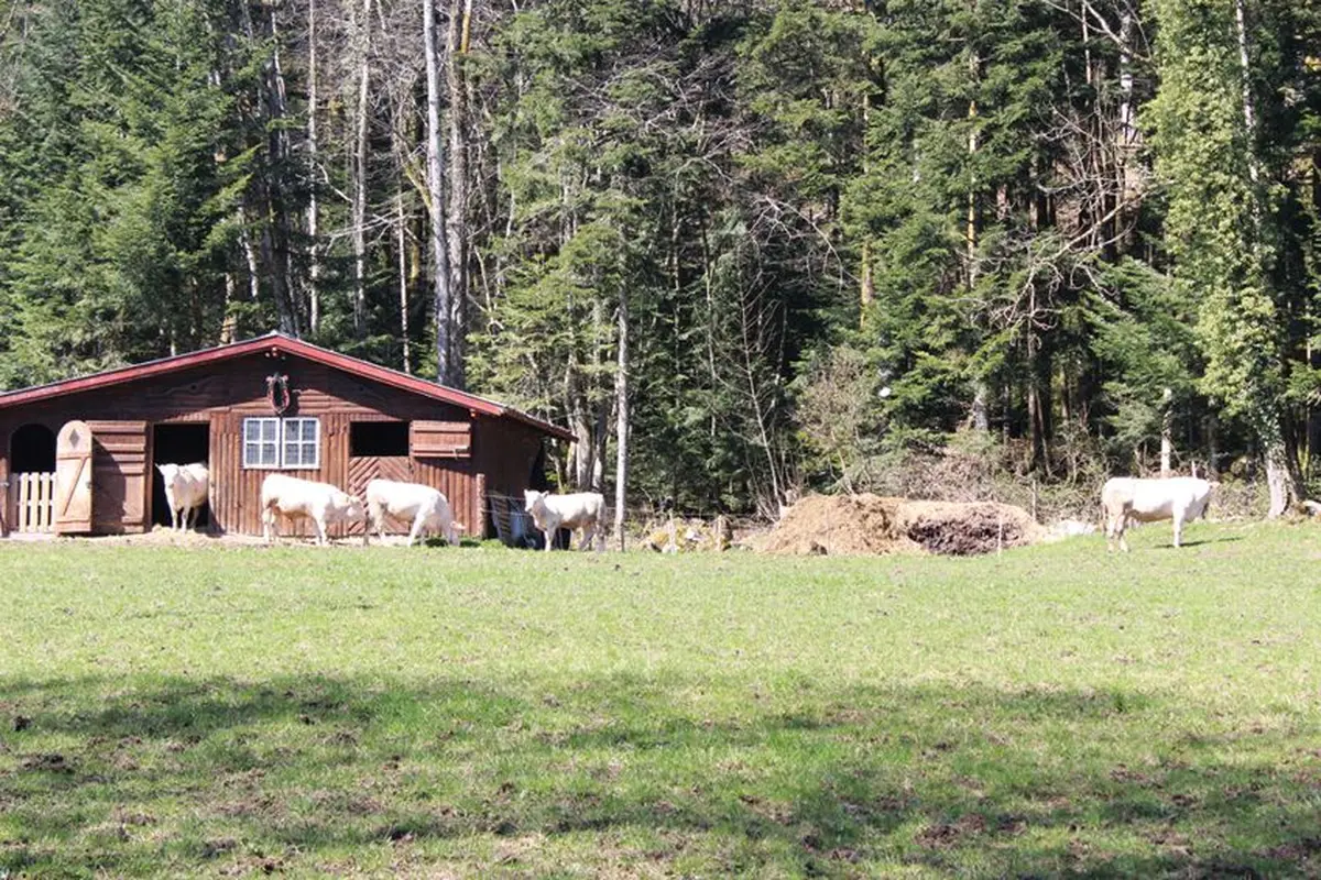 Rimbach-près-Masevaux
