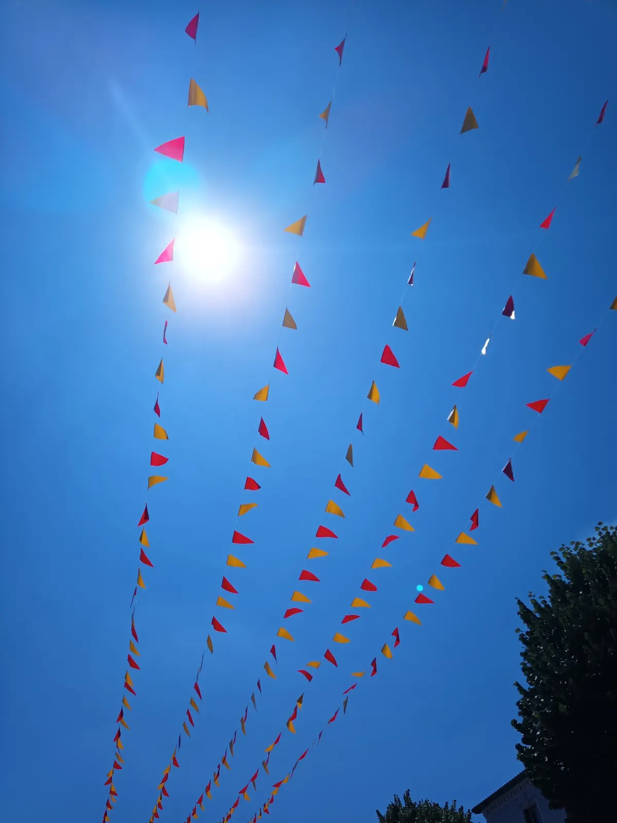 Rion des Landes en Fêtes