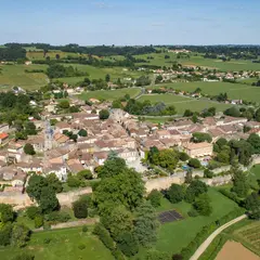 Rions
