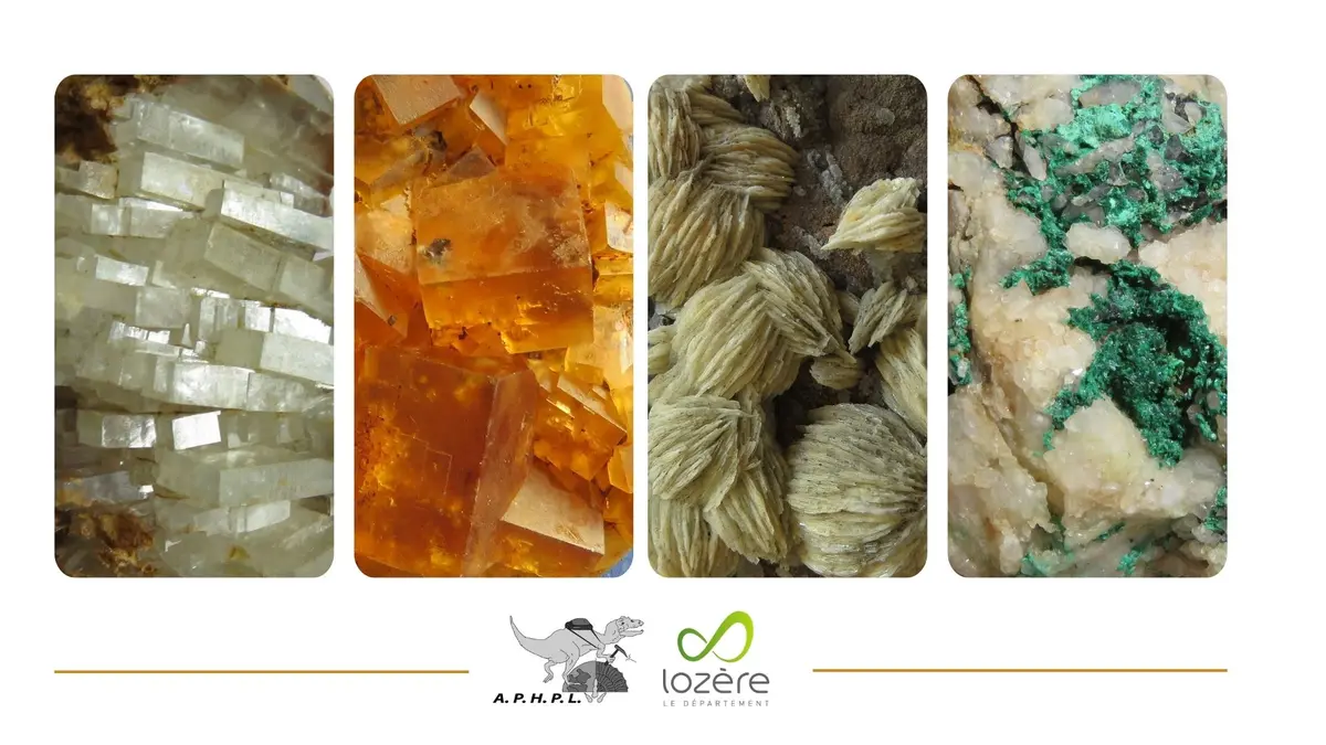 Roches, Fossiles Et Mineraux De Lozere